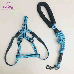 Buy cheap Retractable Nylon Dog XL Size Pet Traction Rope from wholesalers