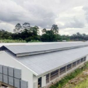 Lightweight Steel Frame House , Chicken Farm Structure Customized