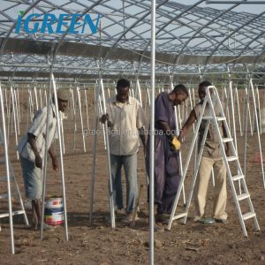 Buy cheap 10m Tunnel Width Multi Span Greenhouse Steel Pipe Greenhouse For Hydroponic System from wholesalers