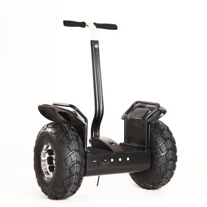 China Lightning Segway Electric Scooter Customized 800mm - 1100mm Handle Adjustable on sale