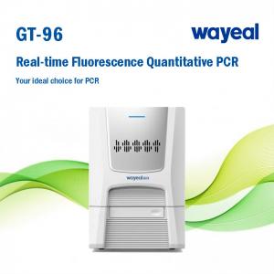 China Ce Nucleic Acid Testing 96 Wells Real Time Detection PCR Analyzer Fully Automatic on sale