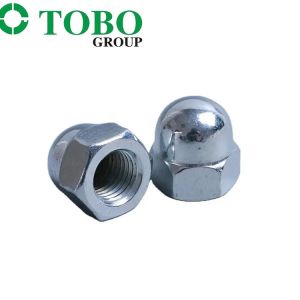 Hex nut hexagonal dome nut Stainless Steel Din1587 Hex Domed Nut For Car/motor