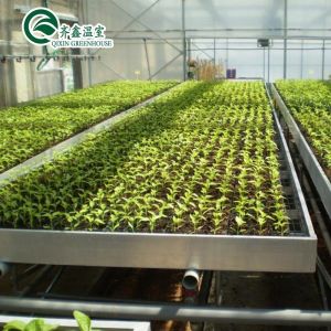 Buy cheap Double Layer PO Greenhouse Tunnel for Precise Temperature Control from wholesalers