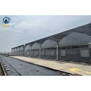 Buy cheap Plastic Multi Span Lettuce Greenhouse For Leafy Greens Cultivation from wholesalers