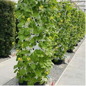 Buy cheap Large Size Tower Shape Hydroponic Growing System for Home Use with 30L Water Tank and 8 Layers from wholesalers