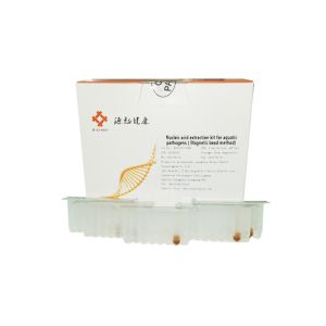 ISO13485 Nucleic Acid Extraction Kit Magnetic Bead DNA RNA Extraction Kit