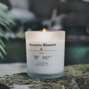 Beautiful Plain Jar Candles Frosted Glass Jar Customized Logo SGS Certification