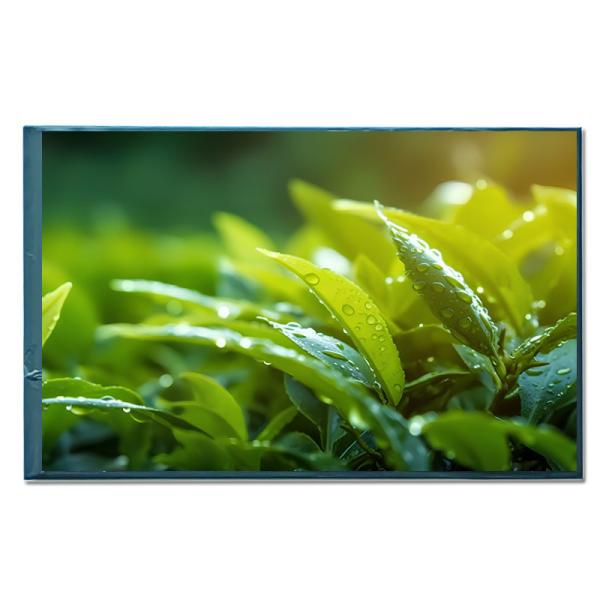 Buy cheap IPS 8 Inch TFT LCD Monitor Module MIPI Interface Medical LCD Monitor from wholesalers