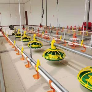 Buy cheap 450kg/H Fully Automatic Chicken Feed Line With Hopper Galvanized Pipe from wholesalers