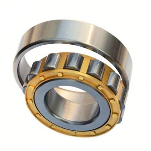 China P4 P2 Double Row NU2206 ECP Cylindrical Roller Bearing on sale