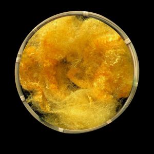 Buy cheap Full Dull Triangle Dope Dyed Polyester Staple Fiber With High Air Permeability from wholesalers