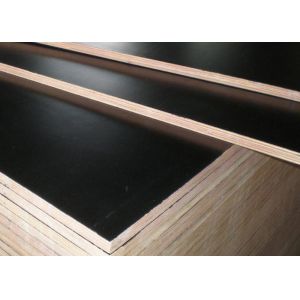 China E1 Maple Dynea Film Faced Plywood on sale