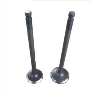 Buy cheap TEM Toyota 2KD Diesel Engine Valve 13711-0L010 13715-0L010 from wholesalers