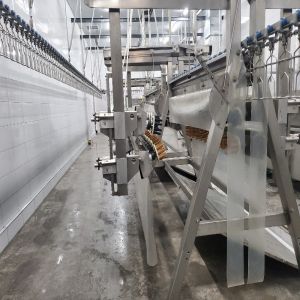 Buy cheap Stainless Steel Chicken Slaughtering Line Flexible Adjustment Poultry Processing Machines from wholesalers