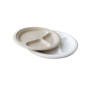 10inch disposable dinner compartment plates biodegradable sugarcane bagasse for