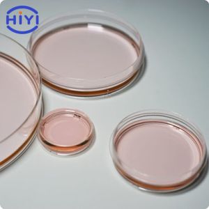 Microscope Observation 6 Cm Cell Culture Dish Surface Flat Transparent