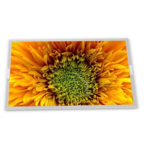 Buy cheap EL240.128.45 WLED LCD Modules 4.8-Inch WLED TFT LCD Display Module with 240*128 Resolution from wholesalers