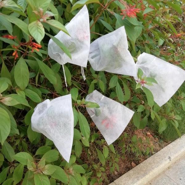 Buy cheap Nonwoven 1.6m 250GSM Netting Bags For Fruit Trees from wholesalers