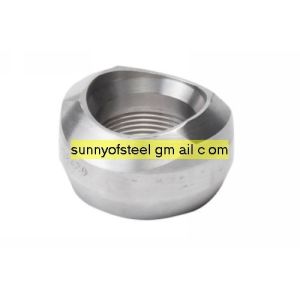 Buy cheap duplex stainless ASTM A182 F58 threadolet from wholesalers