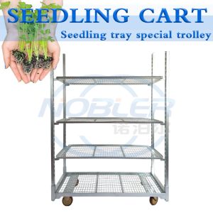 Greenhouse Standard Hole Plate Special Seedling Trolley Urge Bud Trolley Flower