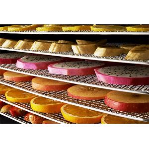 Fruit vegetable processing machines food dryer drying machine