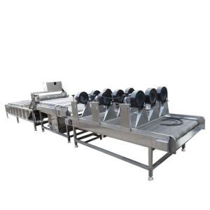 Buy cheap Industrial Fruit Vegetable Processing Machine Automatic 400KG  300-1000kg/h from wholesalers