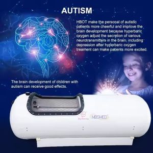 Buy cheap HBOT 1.5 ATA 2 ATA 3 ATA HBOT Chambers Dual Single Person Hard Shell Oxygen Therapy Solution Hyperbaric Oxygen Chamber from wholesalers