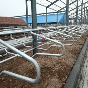 Buy cheap Customized Steel Structure Cow Shed Building Prefab Cattle Dairy Farm Metal Frame Sheds from wholesalers
