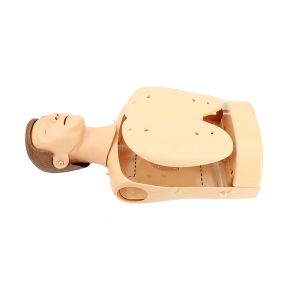 Buy cheap Emergency Half Body Cpr Training Manikins 185 from wholesalers