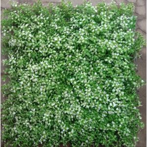 Buy cheap UV Resistance Low Maintenance Artificial Wall Grass For Beautiful Comfortable Living Spaces With Square Shape from wholesalers