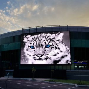 P3 P4 P5 P6 P8 P10 Led Window Display Active Led Video Wall CE ROHS FCC