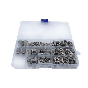 ISO Standard Galvanized Stainless Steel Blind Rivet Insert Screws with Bright
