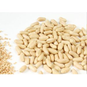 Buy cheap Grade AA Blanched Fried Peanut Kernel , Roasted Traditional Seeds Salted from wholesalers