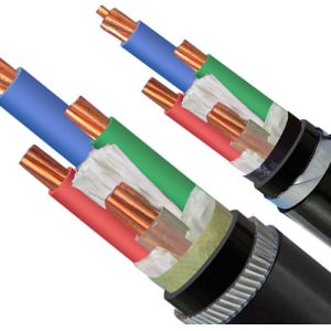 Safe Reliable Electrical Low Smoke Zero Halogen Cable LSZH N2X2Y 10mm2 Class 2
