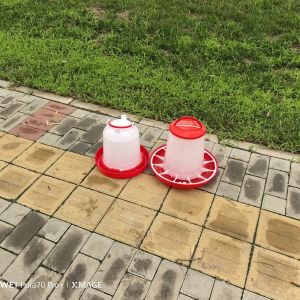 Cylinder Poultry Feeder For Chickens Ducks Geese Turkeys