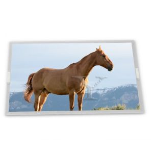 Buy cheap TFT 7.4 640*480 KCG074VG2AB-G00 LCD PANEL Screen from wholesalers