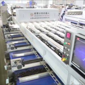 Buy cheap High Capacity 8 lanes+8 outlets Chestnut Sorting Machine: Bulk Processing, Enhanced Productivity from wholesalers