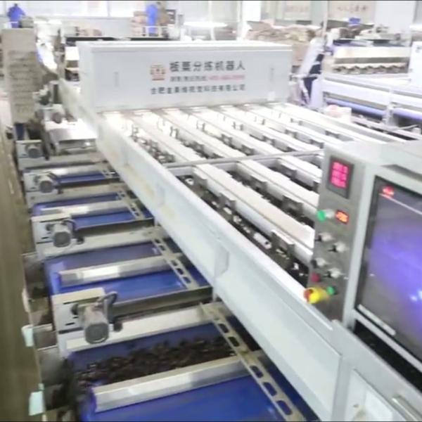 Buy cheap High Capacity 8 lanes+8 outlets Chestnut Sorting Machine: Bulk Processing, Enhanced Productivity from wholesalers