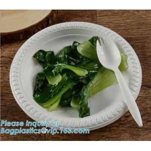 Biodegradable Disposable Sugarcane Bagasse Party Plate,Eco-friendly sugarcane