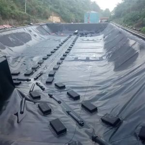 Buy cheap Industrial Geosynthetic Plastic Fish Pond Lining Liner Sheet Waterproof HDPE Geomembrane from wholesalers