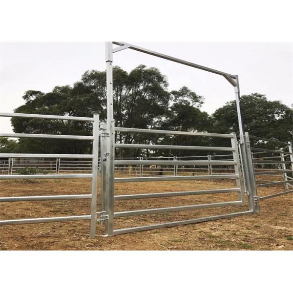 Quality 1.8*2.1m Galvanized livestock Cattle panels for sale