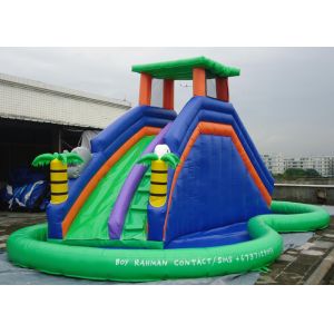 Double Inflatable Water Slide Among Pool PVC Tarpaulin Material Water Park Slide