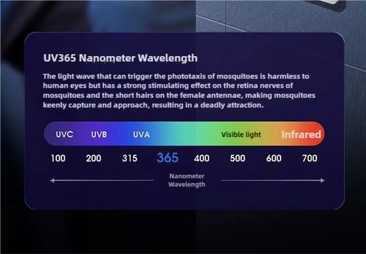 Buy cheap JZ 3 in 1 USB Type Portable Mosquito Lamp with Night Light and High Voltage Swatter Safe Wet Bug Zapper Solid State from wholesalers