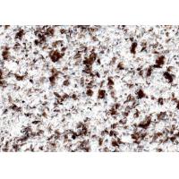 Buy cheap coffee quartz countertops,coffee  cabinets, flooring, wall,vanity,engineered stone countertops, recycled countertops product