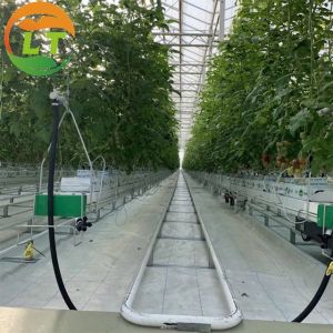 Buy cheap Quick Construction Vegetables Growing Greenhouse with Complete Multi Span Design from wholesalers