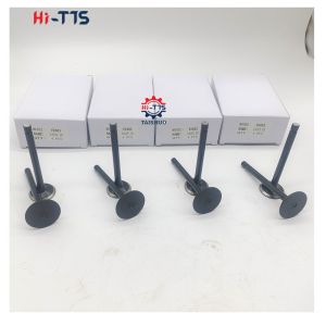 V2403 4D87 Valve Intake And Exhaust 16484-13120 16484-13110 For Kubota Diesel