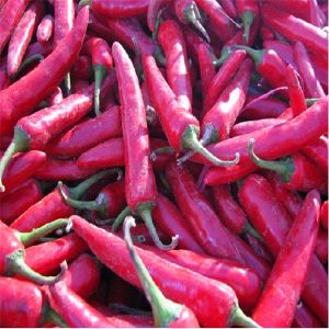 Zero Additive Erjingtiao Dried Chilis Pungent Dehydrated Hot Peppers