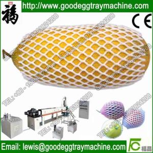 China Manufacturer Apples Packaging Foam Net making machinery