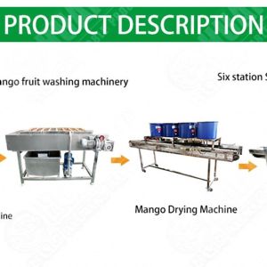 Onion Washing Cutting Processing Line Potato Brush Cleaning Machine Mushroom