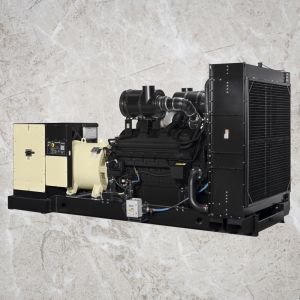 SP725E5 Perkins Diesel Power Generator 50HZ Frequency With 3 Phase 4 Wires